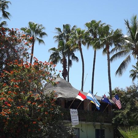 Hotel Posada Senor Manana San José del Cabo Εξωτερικό φωτογραφία
