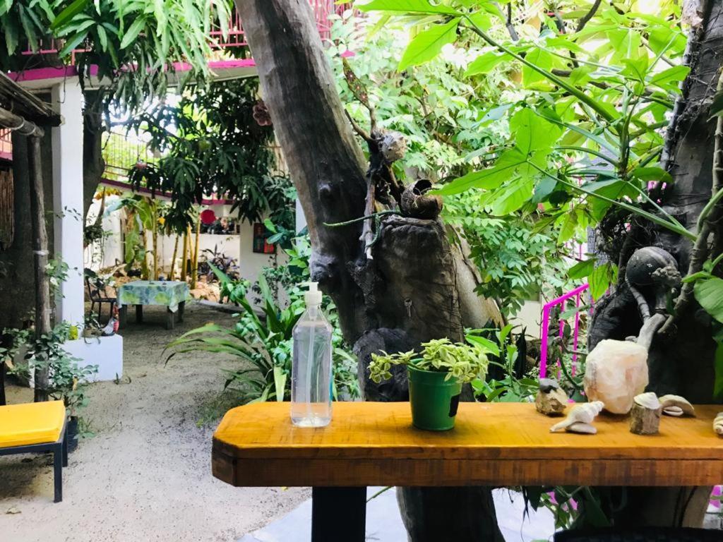 Hotel Posada Senor Manana San José del Cabo Εξωτερικό φωτογραφία